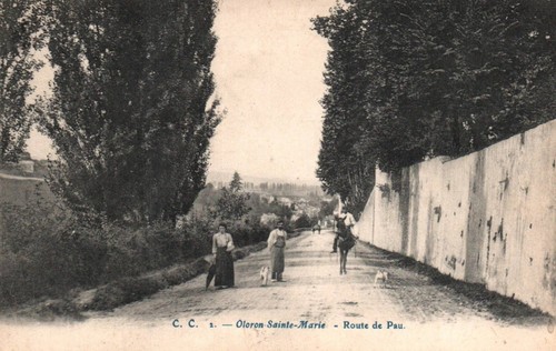Carte postale - carte,