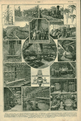 Document ancien sucre issu - , du