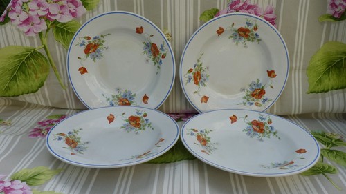 Assiettes plates polychrome - assiettes,