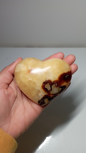 212g coeur septaria - , de