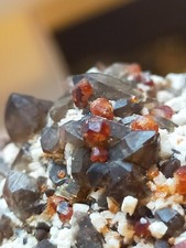 Jolie Grénat rouge avec Quartz fumé de Tongbei Chine