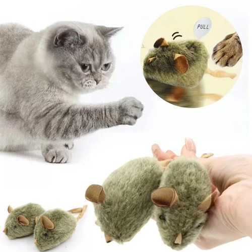 Jouet interactif pour chat - chat, —