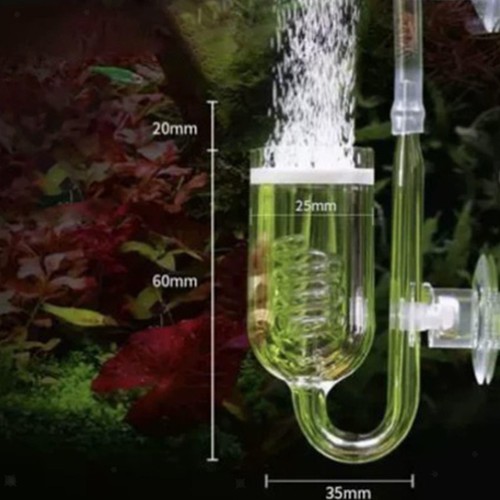 Diffuseur co2 verre pour - diffuseur,