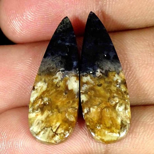 90cts naturel pétrifié - 18.90cts,