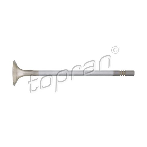 Soupape échappement pour - d'échappement,
