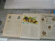 Vintage teddy bear stories - vintage,