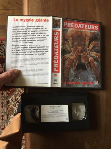 Cassette video vhs - video,