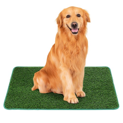 Chiot chien pipi coussin - chien,