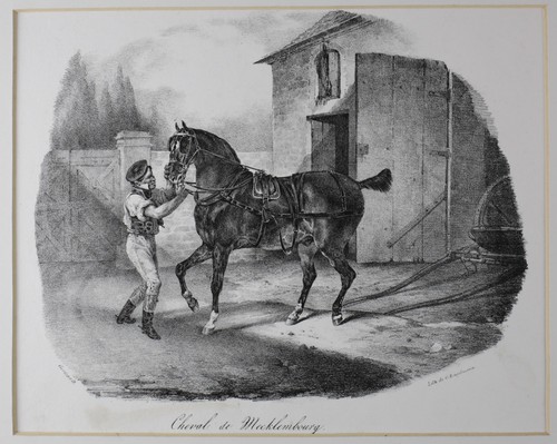 Theodore gericault french - ,