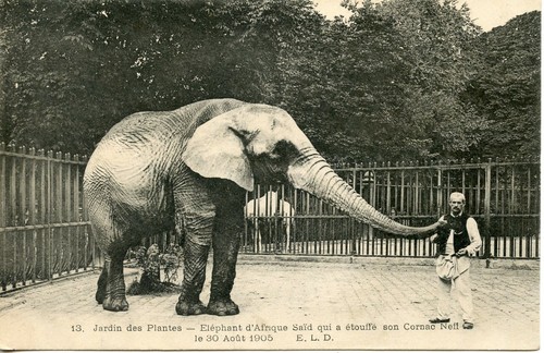 Carte postale paris - carte,
