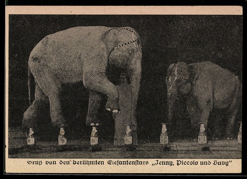 Carte postale stars