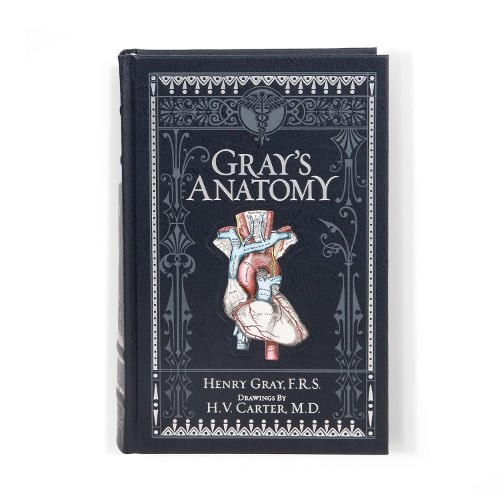 Henry gray anatomy - gray, gray's