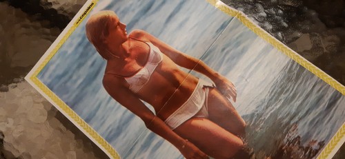 Sylvie vartan hugues aufray - sylvie,