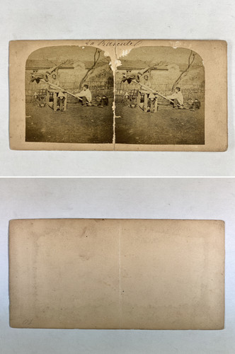 Enfants sur une bascule