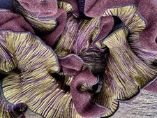 Très jolie Echarpe Plissée Vert et brun - Nice Pleated Fortuny style Scarf