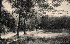 CPA 92 - Bois de MEUDON-CLAMART (Hauts de Seine) - 10. L'Etang de Trivaux