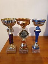 Trois belles coupes sportives dont une pour la pêche 25 cm