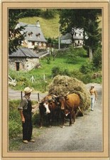 CPM L'Attelage Amene le Char