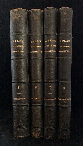 Bonamy beau atlas - :,