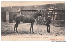 CAR-AFQP1-0003-61 - LE HARAS DU PIN - Humewood - Etalon de pur sang anglais