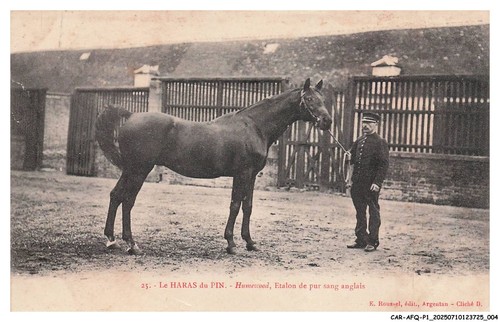 Car afqp1 0003 le haras - car-afqp1-0003-61,