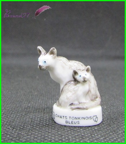 Feve les races chat - races, cat