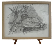 Dessin – repro – canard