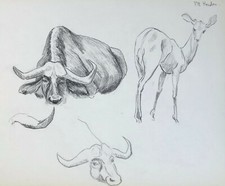 Dessin Original Vintage Fusain