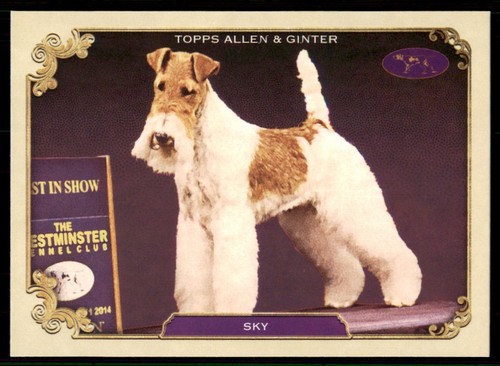 2024 topps allen ginter - allen,