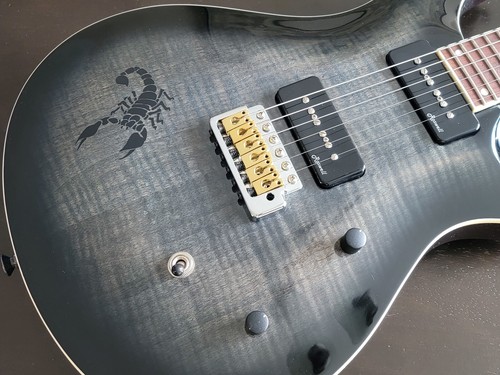 Guitar body scorpion - guitar, design