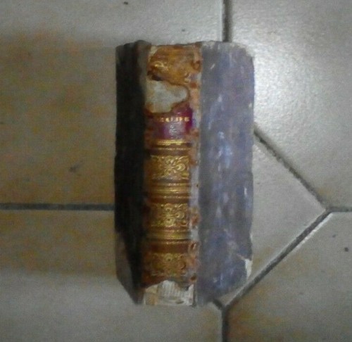 Drapier accurata - r.,