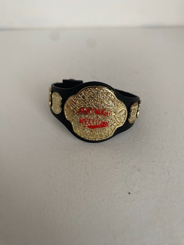 Wwe ecw ceinture champion - ecw,