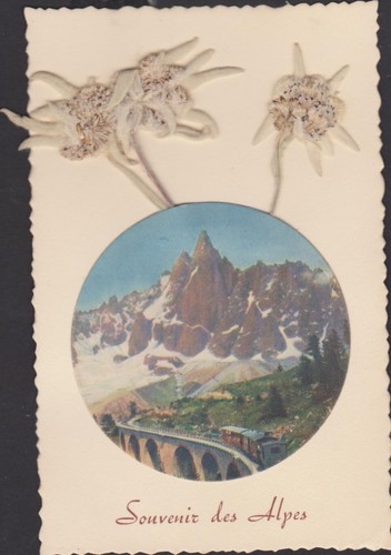 Belle carte postale edelweiss - belle,