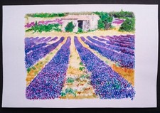Aquarelle Lavande Mas Provence