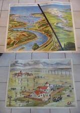 Affiche Scolaire vintage An 50's Rossignol école -->   ESTUAIRE / INNONDATIONS