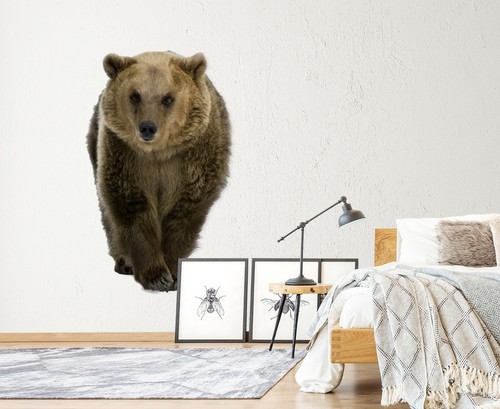 Ours brun c39 animal - ours,