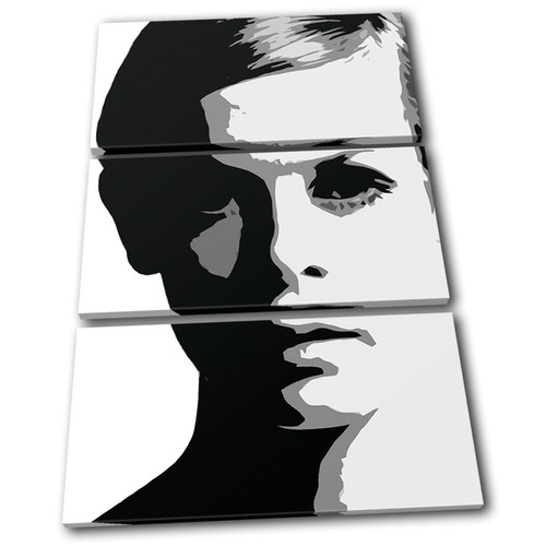 Twiggy model iconic - model,