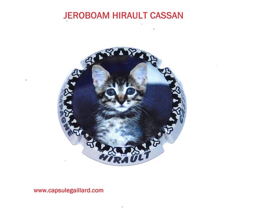 Jeroboam hirault cassan - jeroboam,
