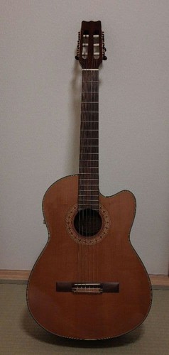Guitare acoustique vantage - guitare,