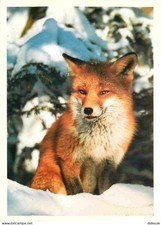 Carte Postale - Animaux -