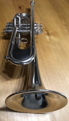 Taylor chicago silver - taylor,