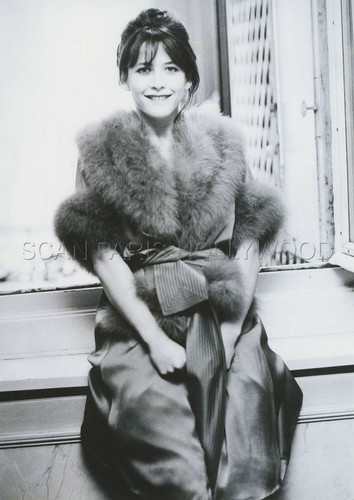 Sophie marceau 1980s photo - marceau,