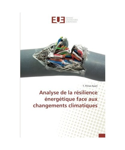 Analyse résilience - analyse,
