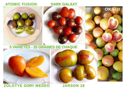 Graines tomates rares - , 5