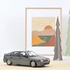 CITROEN BX SPORT gris Renard