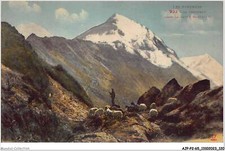 AJPP2-65-0215 - LES PYRENEES - un troupeau dans la haute montagne