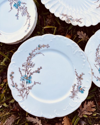 Assiettes antiques limoges - assiettes,