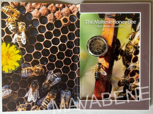 Malta 2024 abeille the - malta,