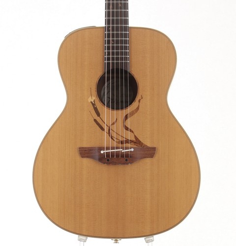Takamine ltd 2005 - ltd-2005,