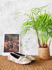 Paire de mocassin en cuir façon serpent  – Fairmount – 40,5 FR / 10,5 US